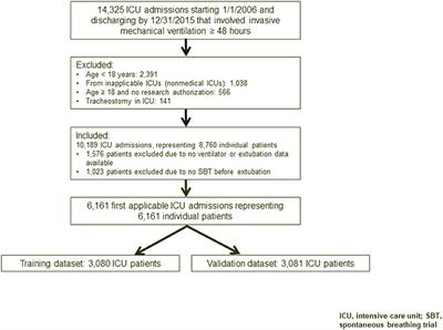 Reintubation Summation Calculation: A Predictive Score for Extubation Failure in Critically Ill Patients